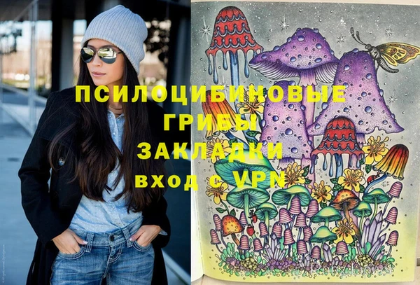 прущие крисы Алексин