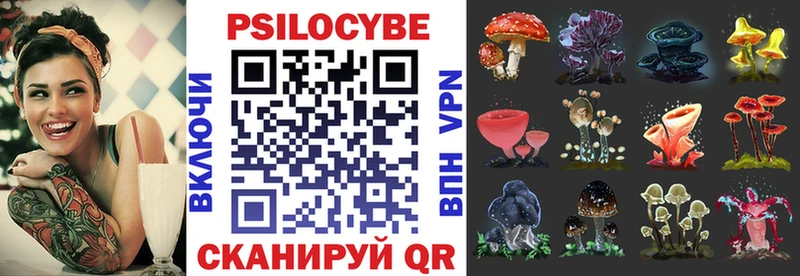 Псилоцибиновые грибы Magic Shrooms blacksprut вход Правдинск